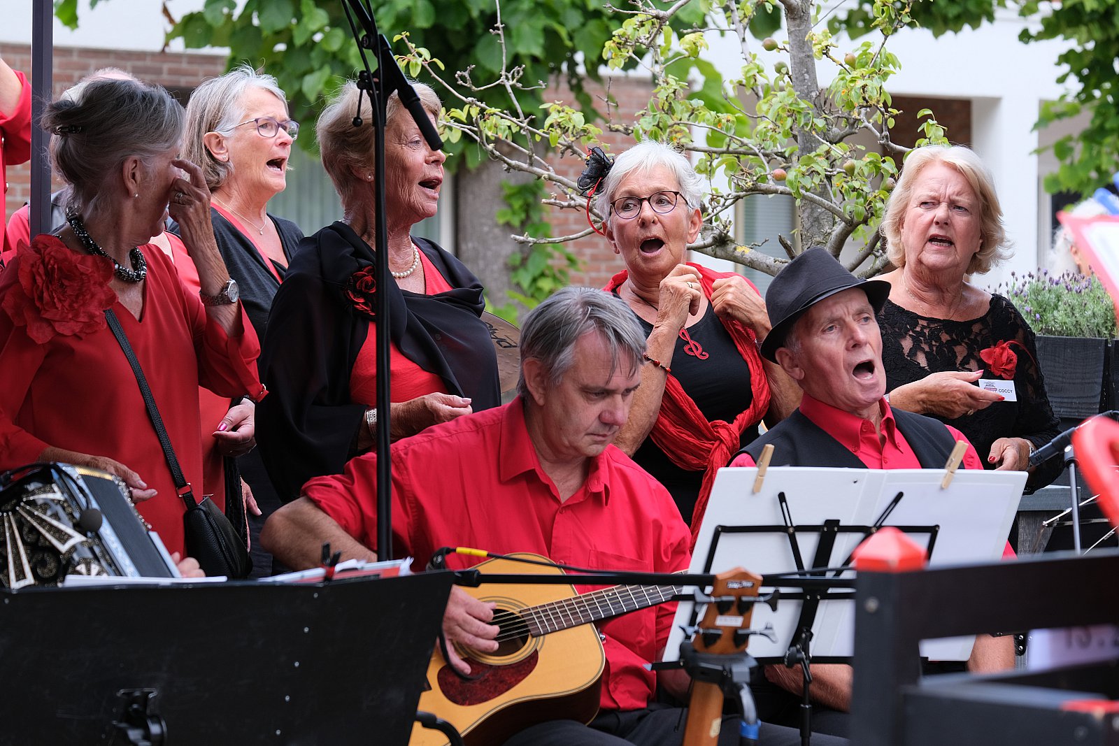 Jubileum Terras Concert BS 20jr. - foto's Henk Schoot