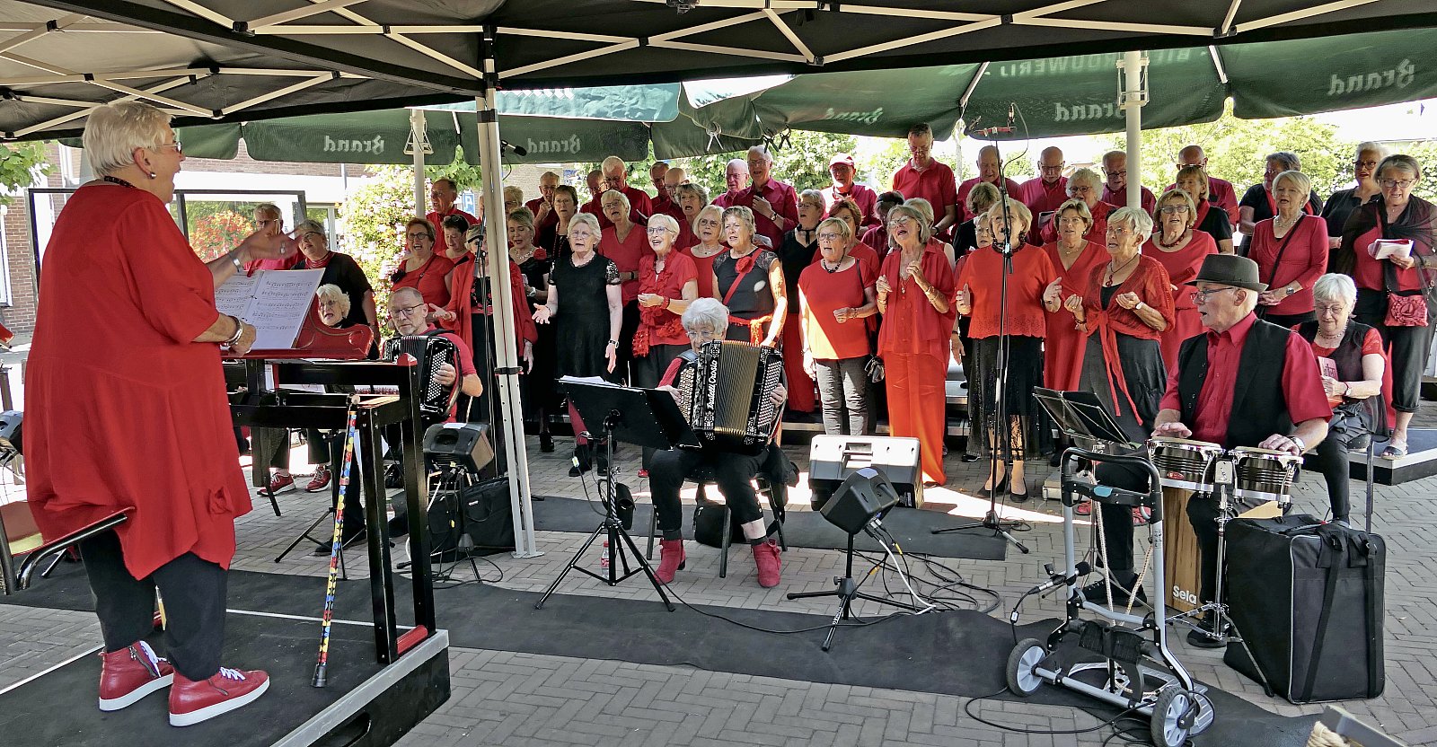 Zomertranenterras bij Marktzicht-foto's Ton v.d. Laar