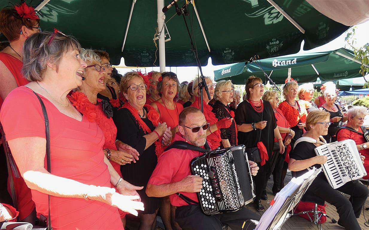 Zomertranenterras 1 juli 2018 - foto's Ton v.d. Laar