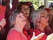 Zomertranenterras 1 juli 2018 - foto's Ton v.d. Laar