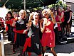 Zomertranenterras 1 juli 2018 - foto's Ton v.d. Laar