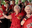Zomertranenterras 1 juli 2018 - foto's Ton v.d. Laar